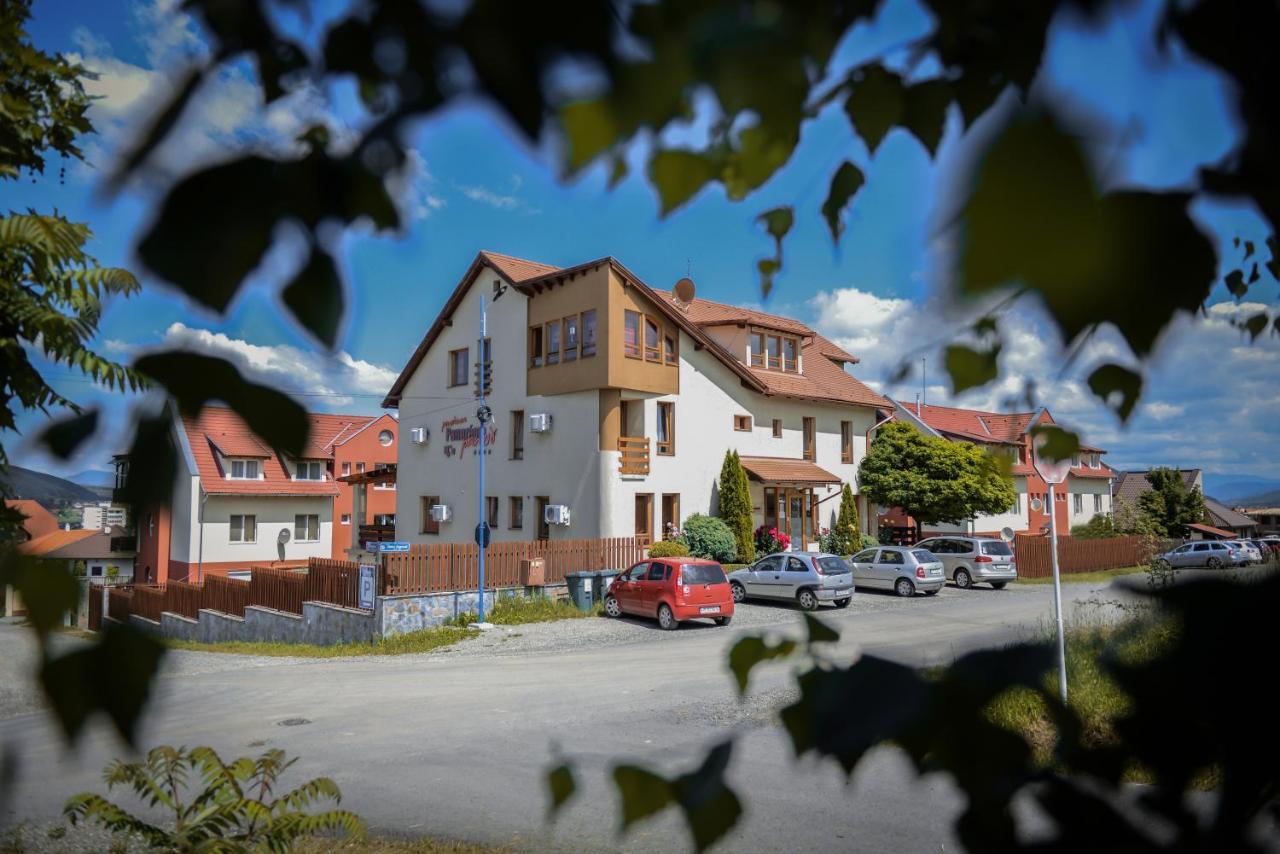 Pension Panorama Odorheiu Secuiesc Zewnętrze zdjęcie